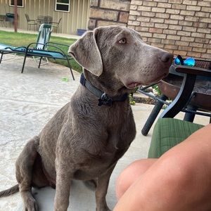 Meet your Posher, Jimmy